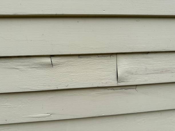 Best Construction Debris Removal  in Mount Ivy, NY